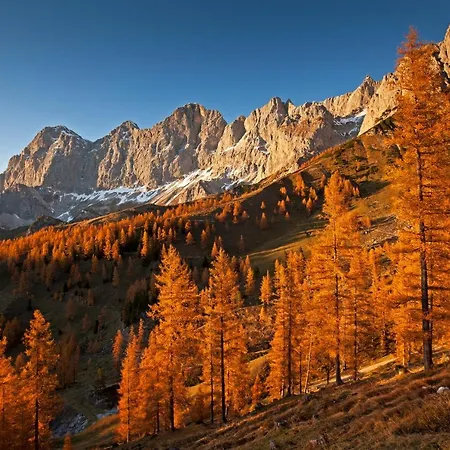 Alpehytte Brandhof - Am Berg Ramsau am Dachstein