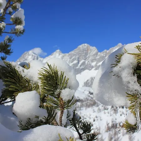 Chalet Brandhof - Am Berg *