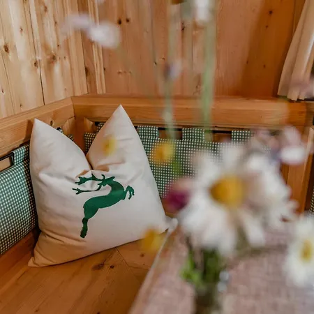 Brandhof - Am Berg Chalet Ramsau am Dachstein