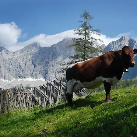 Brandhof - Am Berg Alpehytte *