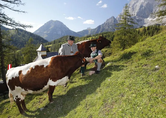 Brandhof - Am Berg * Ramsau am Dachstein