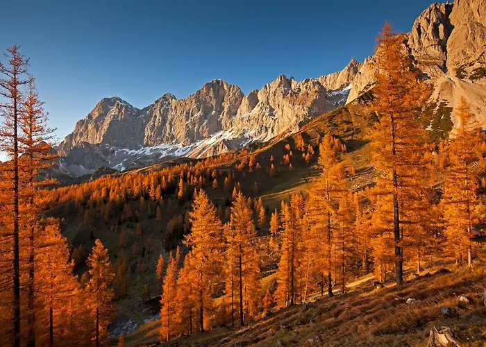 Chalet Brandhof - Am Berg Ramsau am Dachstein