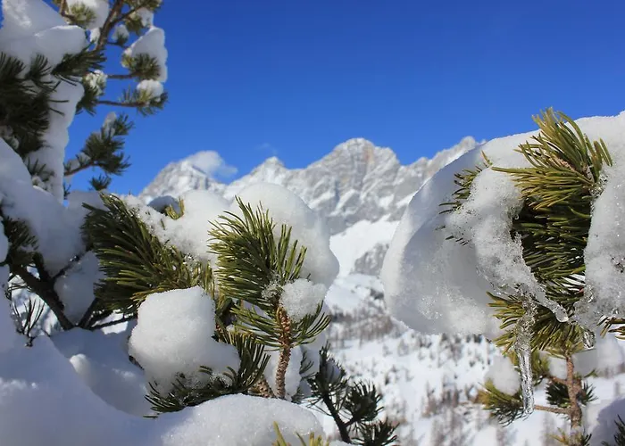 Chalet Brandhof - Am Berg *