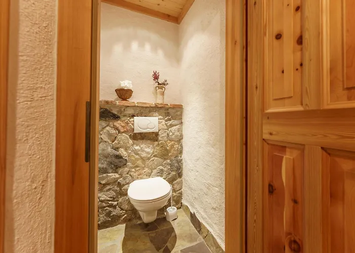 Brandhof - Am Berg Chalet Ramsau am Dachstein