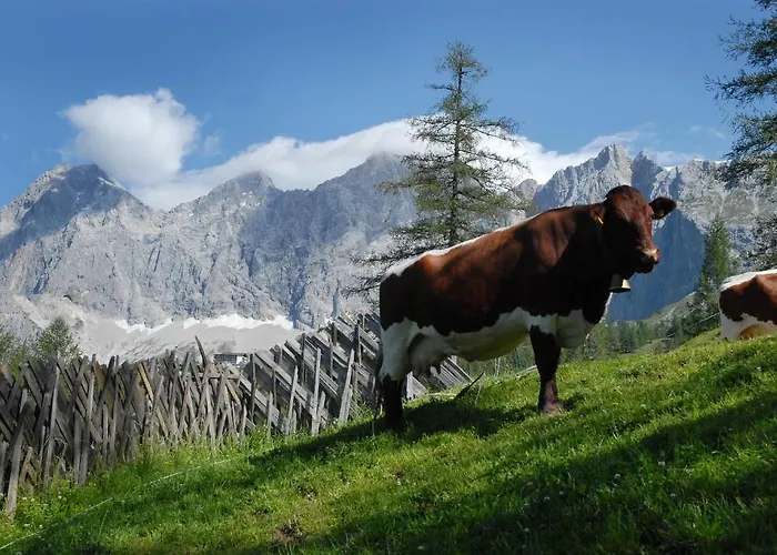 Brandhof - Am Berg 샬레 *